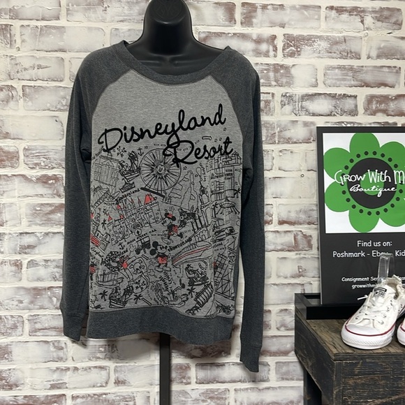 Disney parks sweatshirt adult medium - Picture 1 of 5